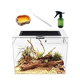 Reptile Growth PC Terrario Kit, 12' x 7'x 9' PC terrarium con vista completa visivamente accattivante, PC terrario rettili per Geco leopardino Drago barbuto Ragno lumaca insetto tarantola serpente